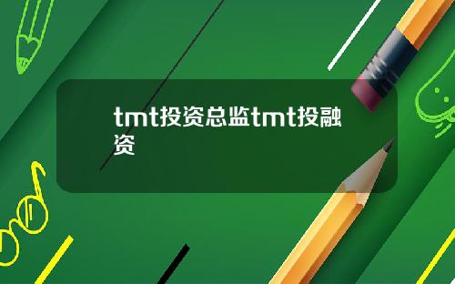 tmt投资总监tmt投融资