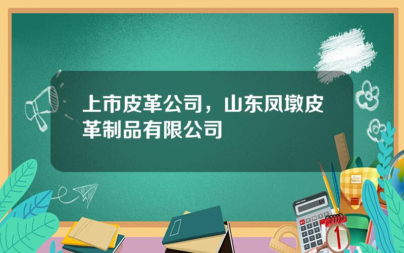 上市皮革公司，山东凤墩皮革制品有限公司