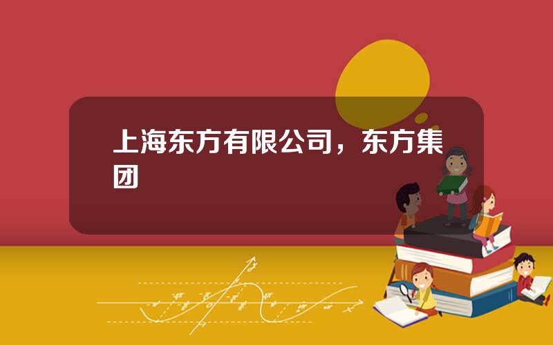 上海东方有限公司，东方集团