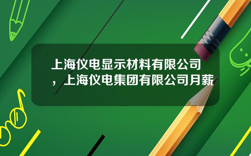 上海仪电显示材料有限公司，上海仪电集团有限公司月薪