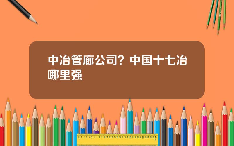 中冶管廊公司？中国十七冶哪里强