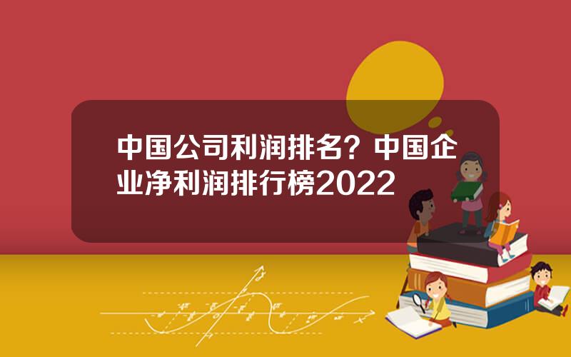 中国公司利润排名？中国企业净利润排行榜2022