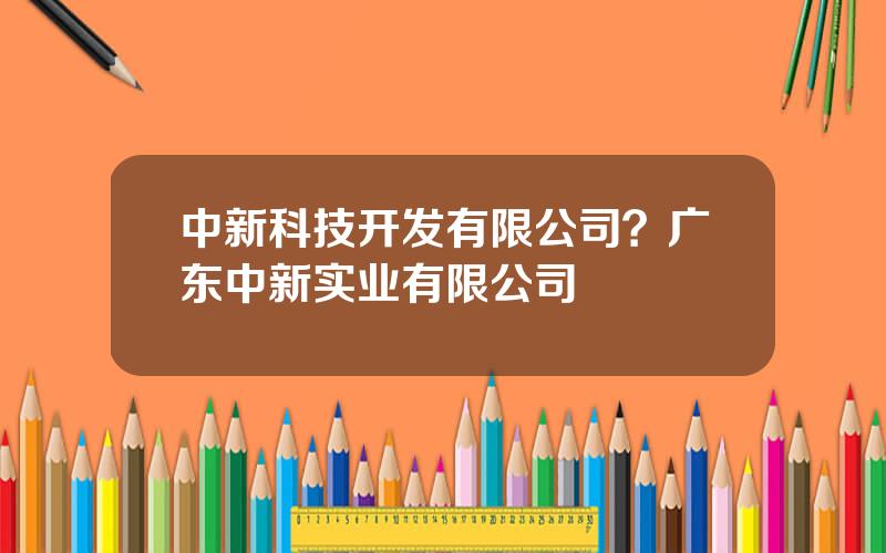 中新科技开发有限公司？广东中新实业有限公司