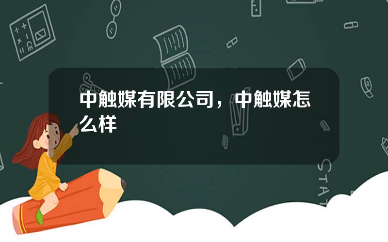 中触媒有限公司，中触媒怎么样