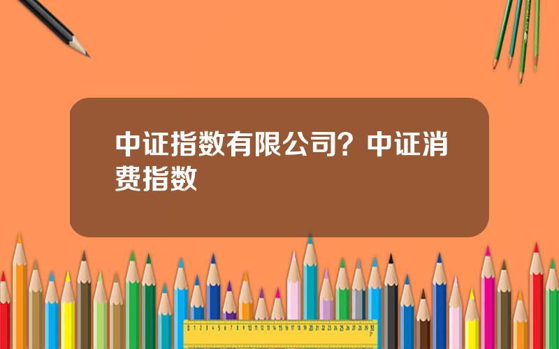 中证指数有限公司？中证消费指数