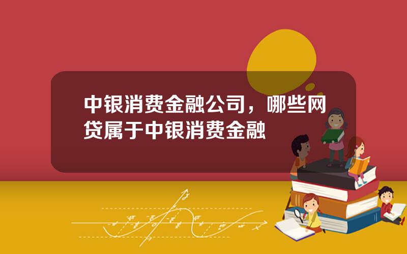 中银消费金融公司，哪些网贷属于中银消费金融