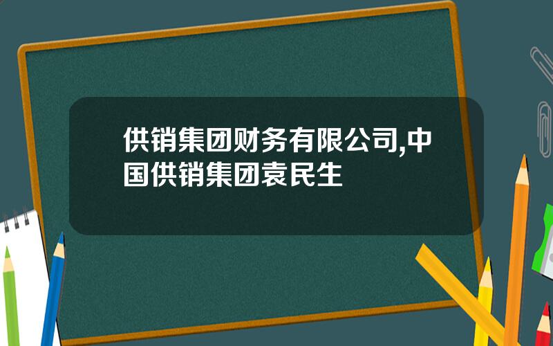 供销集团财务有限公司,中国供销集团袁民生
