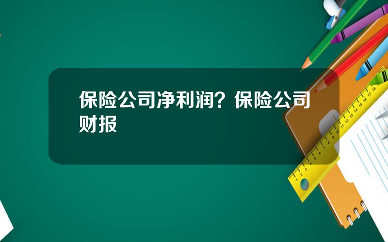 保险公司净利润？保险公司财报