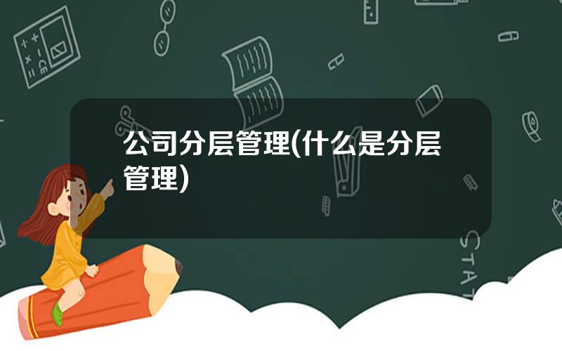 公司分层管理(什么是分层管理)
