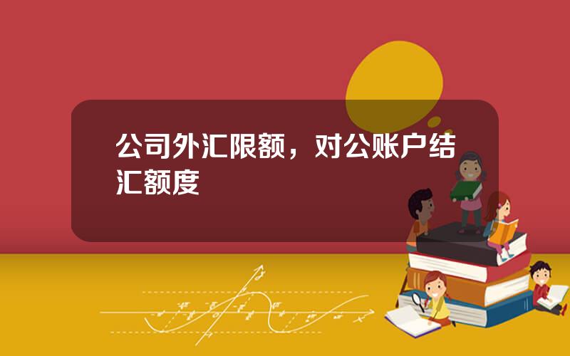 公司外汇限额，对公账户结汇额度
