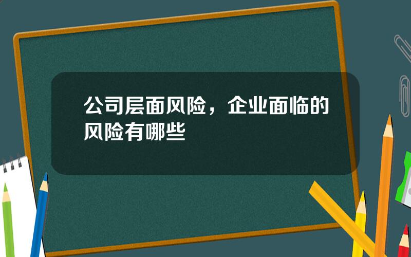 公司层面风险，企业面临的风险有哪些