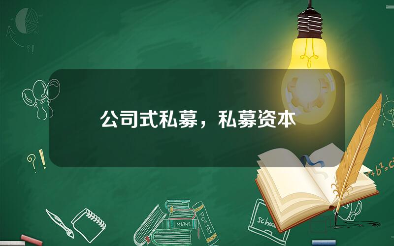 公司式私募，私募资本