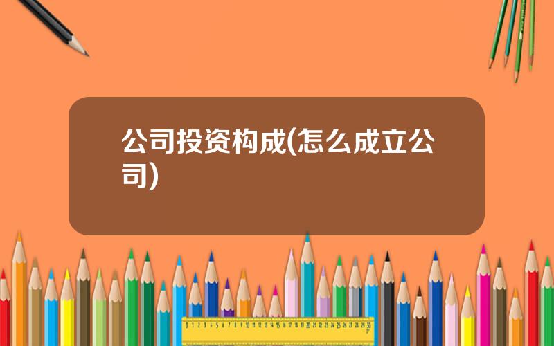 公司投资构成(怎么成立公司)