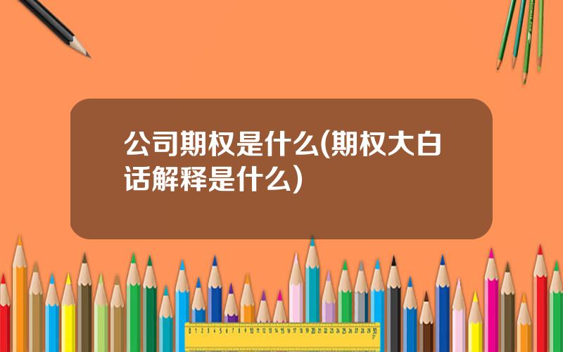 公司期权是什么(期权大白话解释是什么)