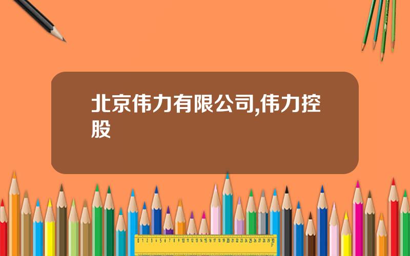 北京伟力有限公司,伟力控股