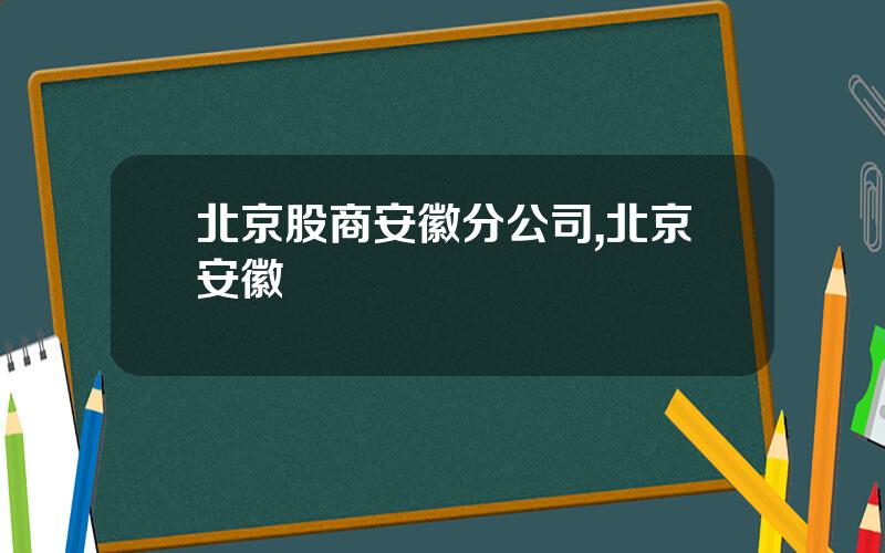 北京股商安徽分公司,北京安徽