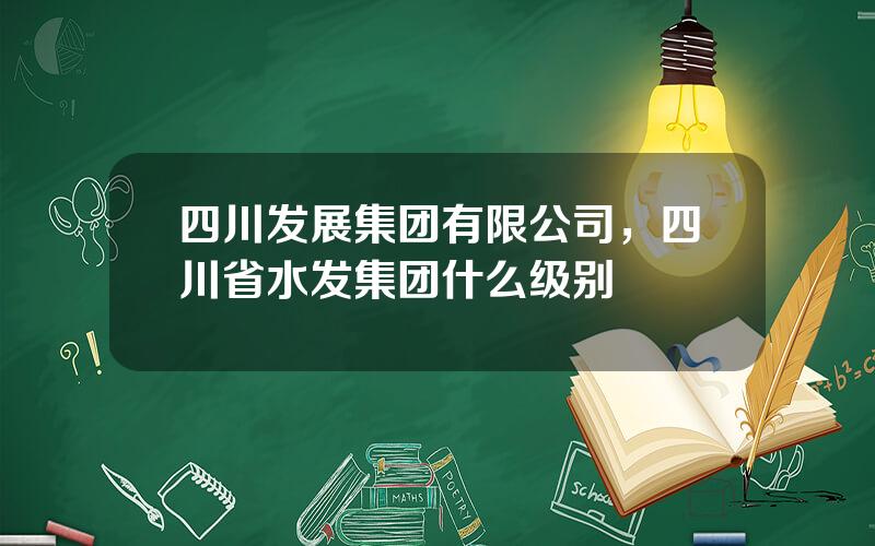 四川发展集团有限公司，四川省水发集团什么级别