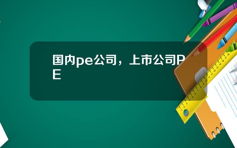 国内pe公司，上市公司PE