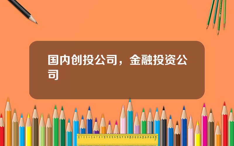 国内创投公司，金融投资公司