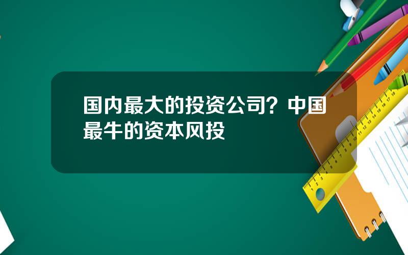 国内最大的投资公司？中国最牛的资本风投