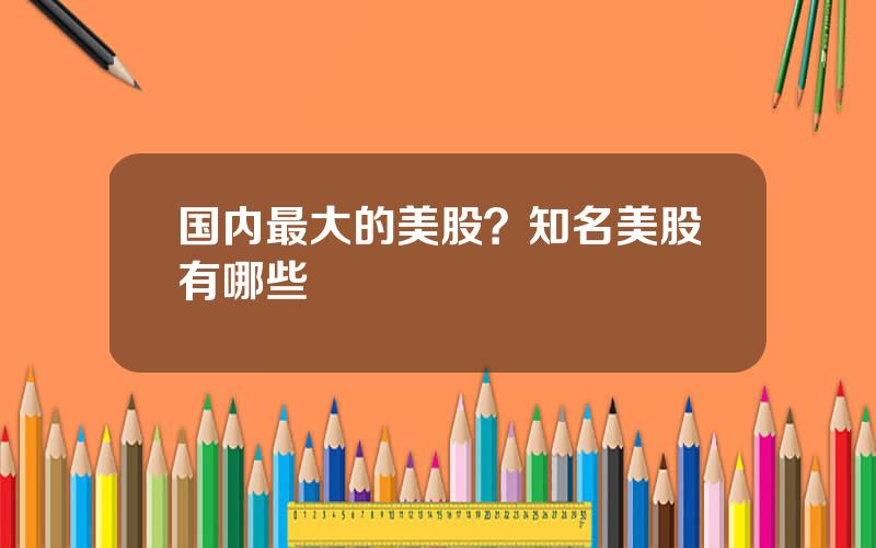 国内最大的美股？知名美股有哪些
