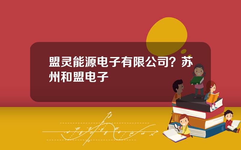 盟灵能源电子有限公司？苏州和盟电子