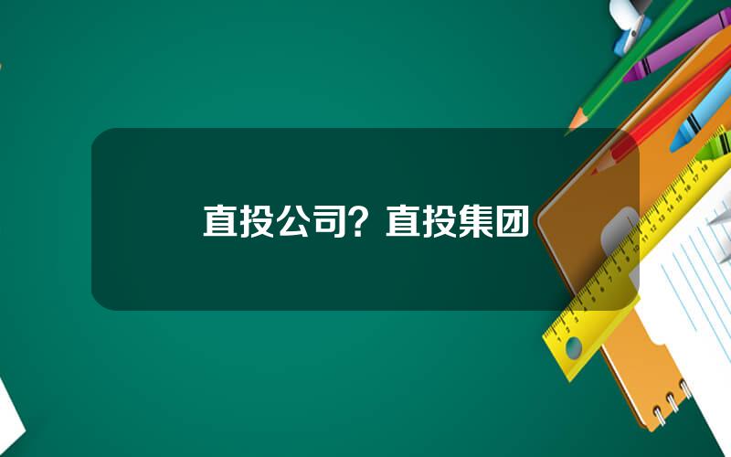 直投公司？直投集团