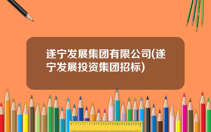 遂宁发展集团有限公司(遂宁发展投资集团招标)